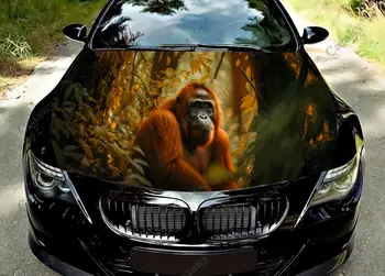 Živali Orangutan Smešno Opica Avto, Kapuco, Nalepke Vinyl Zaviti Vinil Film Pokrov Motorja Nalepke Nalepka na Avto Auto Dodatki